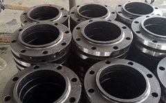 Carbon Steel IBR Flanges Carbon Steel IBR Flanges
